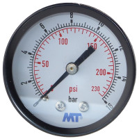 Manometer 50 mm hinten 0 - 16 bar