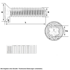 Senkkopf Schraube Torx M2 x 5mm (A2 - ISO14581)