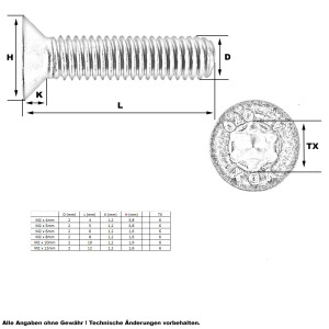 Senkkopf Schraube Torx M2 x 10mm (A2 - ISO14581)
