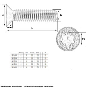 Senkkopf Schraube Torx M6 x 10mm (A2 - ISO14581)