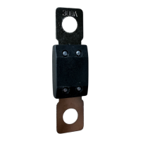 Sicherung Mega (48V DC) 300A