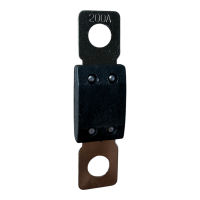 Sicherung Mega (48V DC) 200A