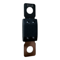 Sicherung Mega (48V DC) 125A