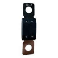 Sicherung Mega (48V DC) 100A