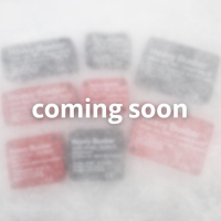 Heavy Busbar 4-fach rot - 600A - M10