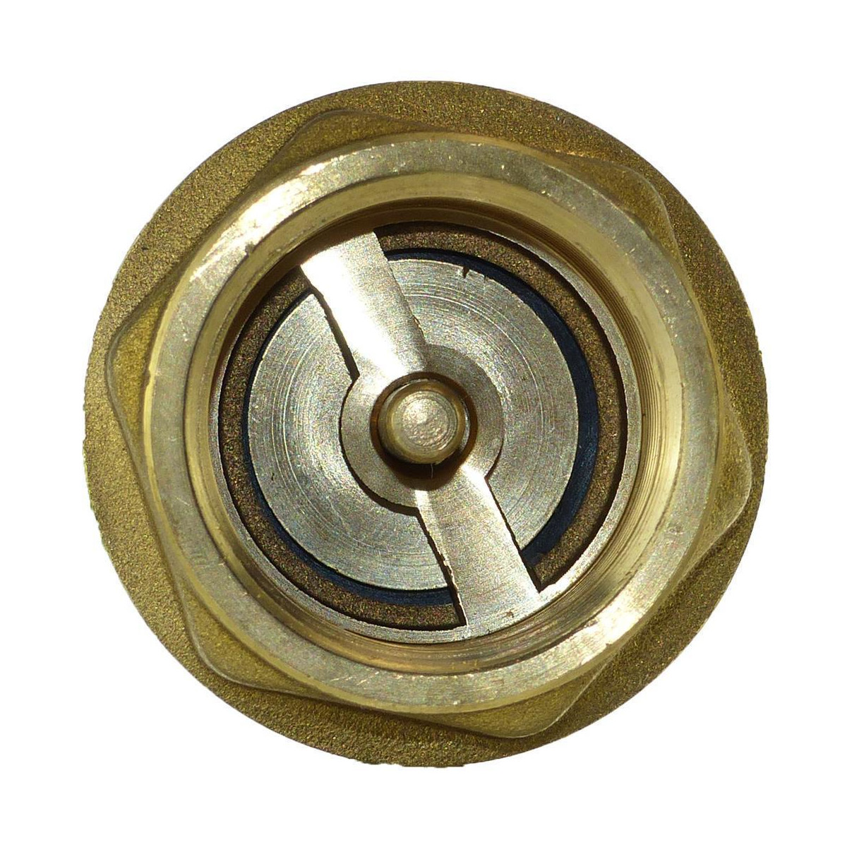 Wassermann Rückschlagventil 1-1/4 Zoll Messing - Für Brunnenpumpen